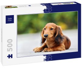 Lais Puzzle - Langhaardackel - 500 Teile