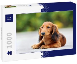 Lais Puzzle - Langhaardackel - 1.000 Teile