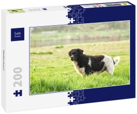Lais Puzzle - Wetterhoun - 200 Teile
