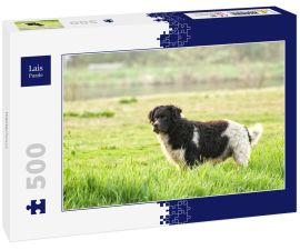 Lais Puzzle - Wetterhoun - 500 Teile