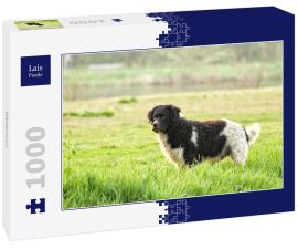 Lais Puzzle - Wetterhoun - 1.000 Teile