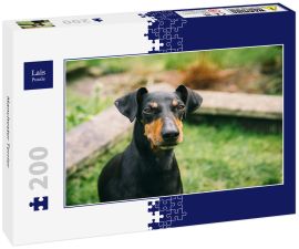 Lais Puzzle - Manchester Terrier - 200 Teile