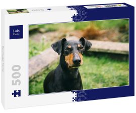 Lais Puzzle - Manchester Terrier - 500 Teile