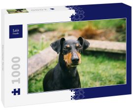 Lais Puzzle - Manchester Terrier - 1.000 Teile