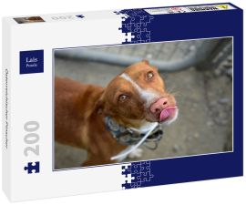Lais Puzzle - Österreichischer Pinscher - 200 Teile