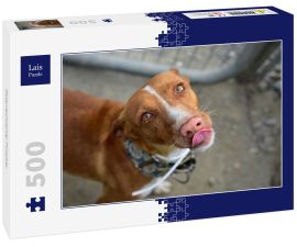 Lais Puzzle - Österreichischer Pinscher - 500 Teile