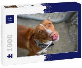 Lais Puzzle - Österreichischer Pinscher - 1.000 Teile