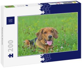 Lais Puzzle - Polnische Bracke - 200 Teile