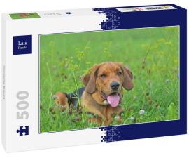 Lais Puzzle - Polnische Bracke - 500 Teile
