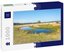 Lais Puzzle - Heide des Molenveld in Exloo, einem kleinen Naturschutzgebiet in Drenthe (Niederlande) - 1.000 Teile