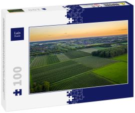 Lais Puzzle - Luftaufnahme bei Sonnenuntergang über Reihen mit alten Pflaumen- oder Birnenobstbäumen von landwirtschaftlichen Obstgärten am Abend in Beuningen, Gelderland, Niederlande. - 100 Teile