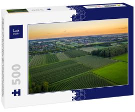 Lais Puzzle - Luftaufnahme bei Sonnenuntergang über Reihen mit alten Pflaumen- oder Birnenobstbäumen von landwirtschaftlichen Obstgärten am Abend in Beuningen, Gelderland, Niederlande. - 500 Teile