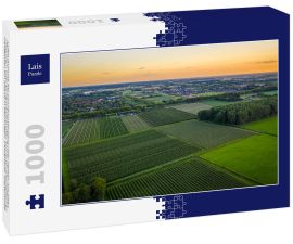 Lais Puzzle - Luftaufnahme bei Sonnenuntergang über Reihen mit alten Pflaumen- oder Birnenobstbäumen von landwirtschaftlichen Obstgärten am Abend in Beuningen, Gelderland, Niederlande. - 1.000 Teile