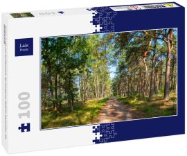 Lais Puzzle - Grüne Lunge von Nordbrabant, der Kempener Wald im September, die Niederlande - 100 Teile