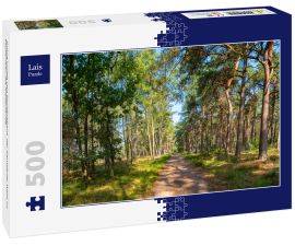 Lais Puzzle - Grüne Lunge von Nordbrabant, der Kempener Wald im September, die Niederlande - 500 Teile