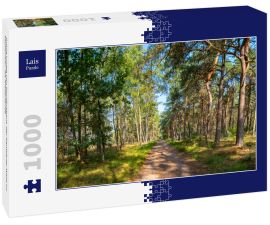 Lais Puzzle - Grüne Lunge von Nordbrabant, der Kempener Wald im September, die Niederlande - 1.000 Teile