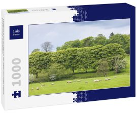 Lais Puzzle - Landschaft mit Schafen in der Nähe von Laigh Milton, East Ayrshire, Schottland - 1.000 Teile
