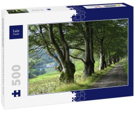 Lais Puzzle - Schmale Landstraße und Buchenreihe bei Barr, South Ayrshire, Schottland - 500 Teile