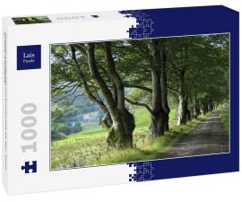 Lais Puzzle - Schmale Landstraße und Buchenreihe bei Barr, South Ayrshire, Schottland - 1.000 Teile