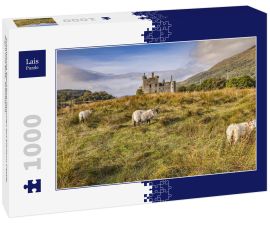 Lais Puzzle - Schottische Blackface-Rammen auf Kilchurn Castle, Argyll und Bute, Schottland - 1.000 Teile