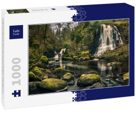 Lais Puzzle - Langzeitbelichtungsaufnahme der Linn Jaw Wasserfälle, in der Nähe von Livingston, Schottland, mit moosbewachsenen Felsen im Vordergrund und rund um die Wasserfälle und weißen Schaumstreifen im Wasser. West Lothian. UK - 1.000 Teile