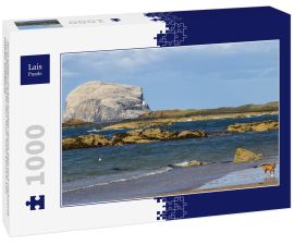 Lais Puzzle - Hund spielen mit Ball auf Meer Strand. Bass Rock mit Kolonie von Basstölpeln hinter dem Hund. North Berwick, East Lothian, Schottland - 1.000 Teile