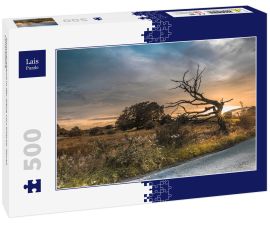 Lais Puzzle - Sommerabend in der Nähe von Kilsyth, North Lanarkshire - 500 Teile