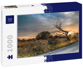 Lais Puzzle - Sommerabend in der Nähe von Kilsyth, North Lanarkshire - 1.000 Teile