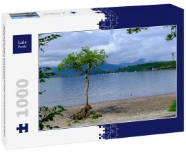 Lais Puzzle - Milarrochy Bay Loch Lomond West Dunbartonshire Argyll und Bute Stirling Schottland - 1.000 Teile