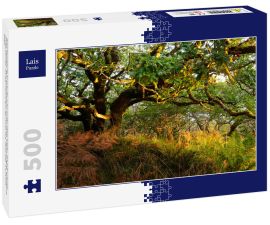 Lais Puzzle - Atemberaubende Ansicht des schottischen Regenwaldes. Mächtige Bäume, Moos, Pflanzen, Farn Nahaufnahme. Crinan Canal, Argyll und Bute, Schottland, Großbritannien. Dunkle stimmungsvolle Landschaft. Reiseziele, Tourismus, Natur - 500 Teile