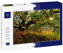 Lais Puzzle - Atemberaubende Ansicht des schottischen Regenwaldes. Mächtige Bäume, Moos, Pflanzen, Farn Nahaufnahme. Crinan Canal, Argyll und Bute, Schottland, Großbritannien. Dunkle stimmungsvolle Landschaft. Reiseziele, Tourismus, Natur - 1.000 Teile