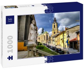 Lais Puzzle - Römisch-katholische Kathedrale, die Hauptkirche der Erzdiözese Przemysl, am Domplatz in der Altstadt gelegen. Przemysl - 1.000 Teile