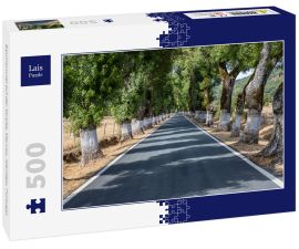 Lais Puzzle - Baumtunnel auf der Straße, Marvao, Alentejo, Portugal - 500 Teile