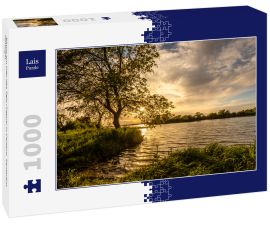 Lais Puzzle - Baum am Ufer des Tejo (Tagus) in Cartaxo, Santarem, Portugal - 1.000 Teile
