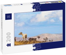 Lais Puzzle - Freistehende Ziege im Bergland der griechischen Kykladeninsel Andros mit der Insel Euböa im Hintergrund - 200 Teile