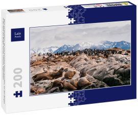 Lais Puzzle - Blick auf Seelöwen, die sich auf einem Felsen ausruhen, vor den Bergen in der Nähe des Beagle-Kanals, Ushuaia, Argentinien - 200 Teile