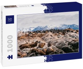 Lais Puzzle - Blick auf Seelöwen, die sich auf einem Felsen ausruhen, vor den Bergen in der Nähe des Beagle-Kanals, Ushuaia, Argentinien - 1.000 Teile