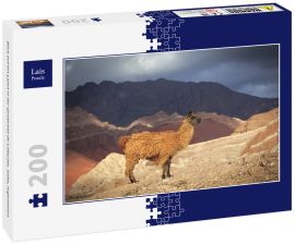 Lais Puzzle - Blick auf ein Lama in der Quebrada de Cafayate, Salta, Argentinien. - 200 Teile