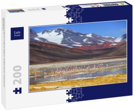 Lais Puzzle - Schwarze Lagune (Laguna Negra), Vulkan Pissis, Catamarca, Argentinien - 200 Teile