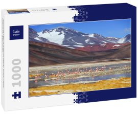 Lais Puzzle - Schwarze Lagune (Laguna Negra), Vulkan Pissis, Catamarca, Argentinien - 1.000 Teile
