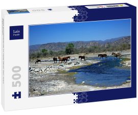 Lais Puzzle - Blick auf Wildpferde im Valle Fértil, San Juan, Argentinien. - 500 Teile