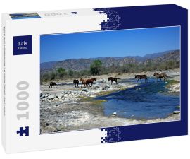 Lais Puzzle - Blick auf Wildpferde im Valle Fértil, San Juan, Argentinien. - 1.000 Teile