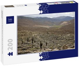 Lais Puzzle - Präkolumbianische Ruinen (Ruinas de Tastil) in der Puna, Salta, Argentinien - 200 Teile