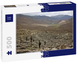 Lais Puzzle - Präkolumbianische Ruinen (Ruinas de Tastil) in der Puna, Salta, Argentinien - 500 Teile