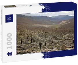 Lais Puzzle - Präkolumbianische Ruinen (Ruinas de Tastil) in der Puna, Salta, Argentinien - 1.000 Teile