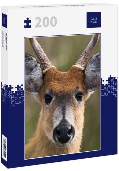 Lais Puzzle - Sumpfhirsch (Blastocerus dichotomus) - 200 Teile