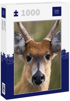 Lais Puzzle - Sumpfhirsch (Blastocerus dichotomus) - 1.000 Teile