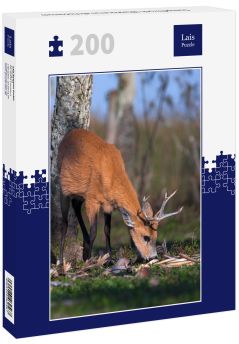 Lais Puzzle - Sumpfhirsch (Blastocerus dichotomus) - 200 Teile