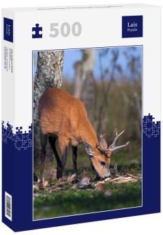 Lais Puzzle - Sumpfhirsch (Blastocerus dichotomus) - 500 Teile