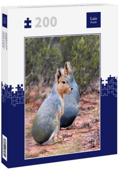 Lais Puzzle - Die Mara ist eine Nagetierart aus der Familie der Caviidae, die auch als patagonische Mara, patagonischer Hase und Hase bekannt ist, obwohl sie nicht zur Ordnung der echten Hasen gehört. - 200 Teile